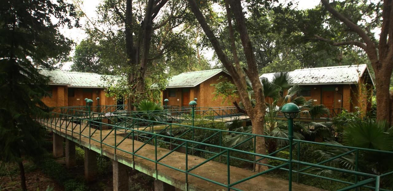 Mpt White Tiger Forest Lodge Tāla Exteriör bild