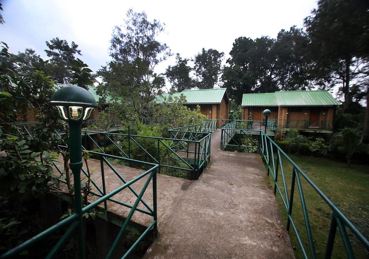 Mpt White Tiger Forest Lodge Tāla Exteriör bild