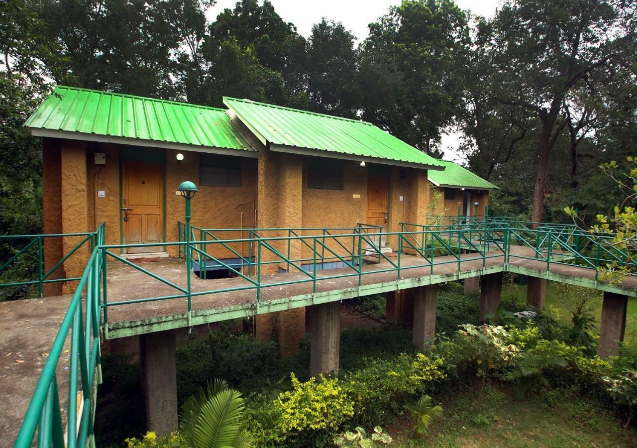 Mpt White Tiger Forest Lodge Tāla Exteriör bild